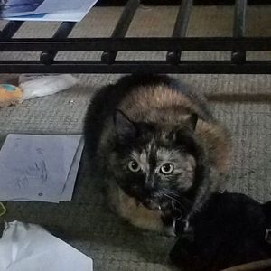 Meet your Posher, Samantha